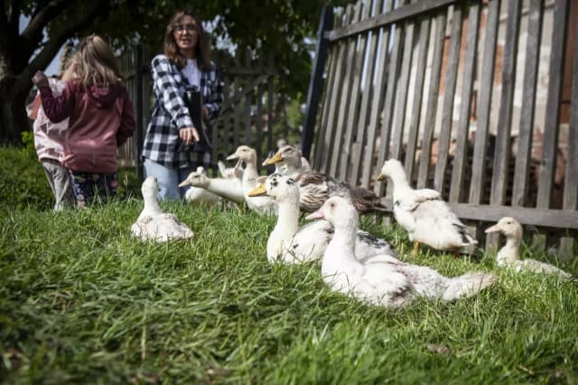 Jak pozyskać fundusze unijne na agroturystykę i uniknąć błędów Jak pozyskać fundusze unijne na agroturystykę i uniknąć błędów