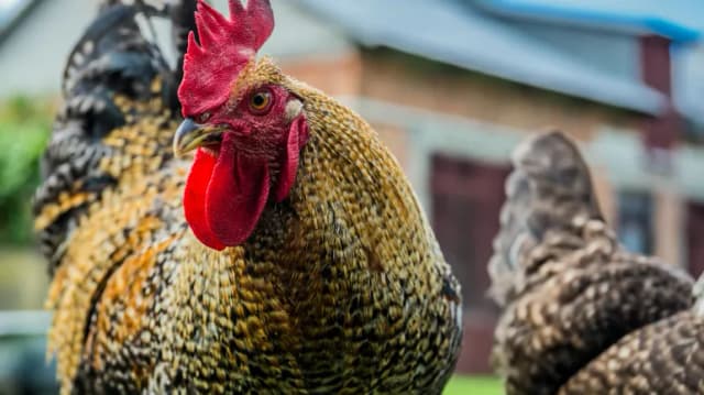 Agroturystyka jakie podatki – uniknij nieprzyjemnych niespodzianek podatkowych