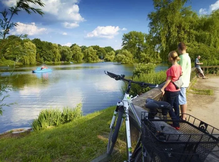 Najciekawsze atrakcje w Parku Śląskim, które musisz poznać